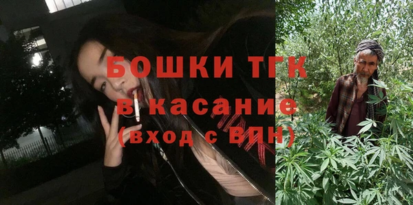 spice Богородск