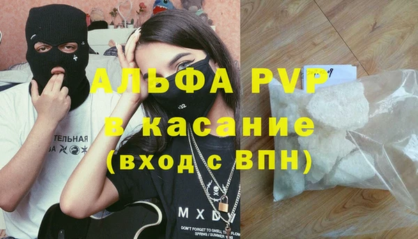spice Богородск