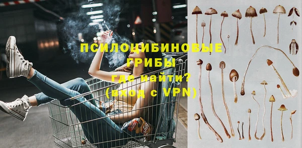 spice Богородск