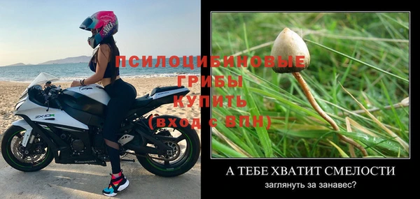 spice Богородск