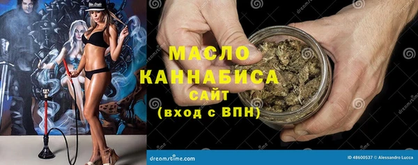 spice Богородск
