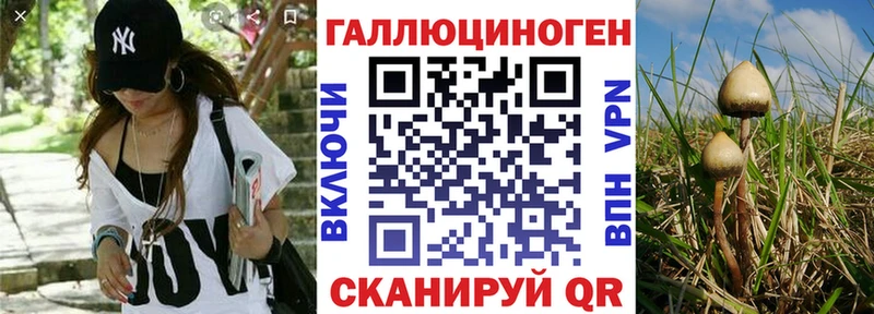 Купить  Пласт  Галлюциногенные грибы мицелий 